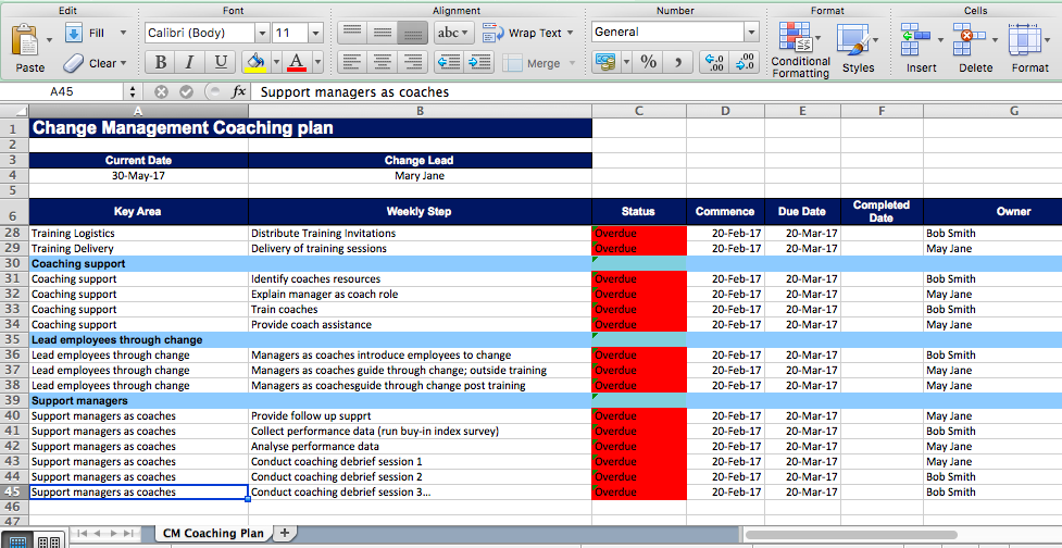 Change management coaching plan template