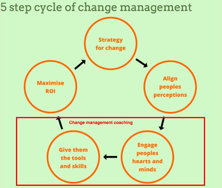 change management coaching